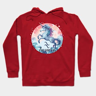 Aquarius Astrological Sign Hoodie